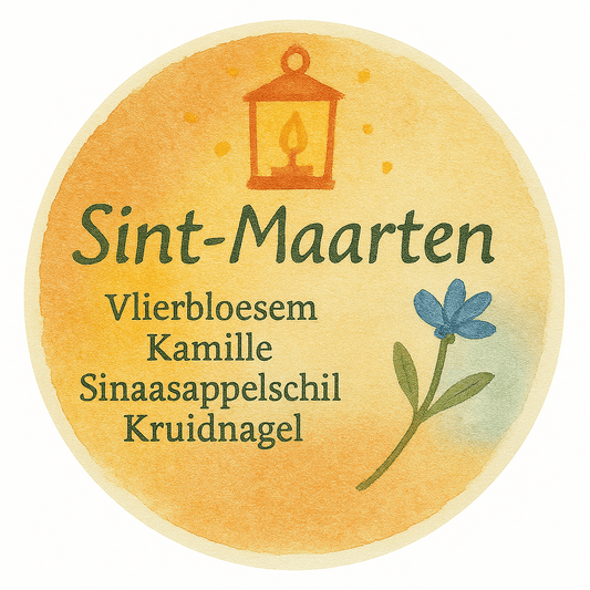 DKW Thee - Sint-Maarten - 50gr